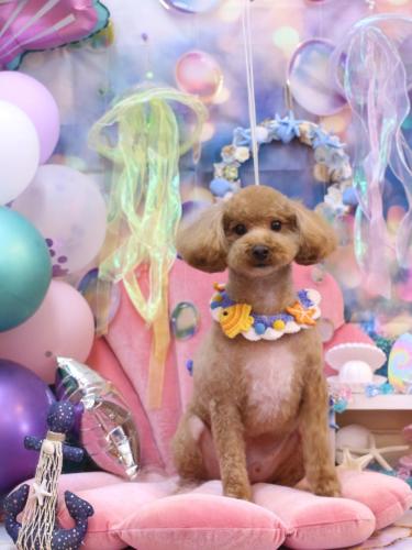 20240802サンくん